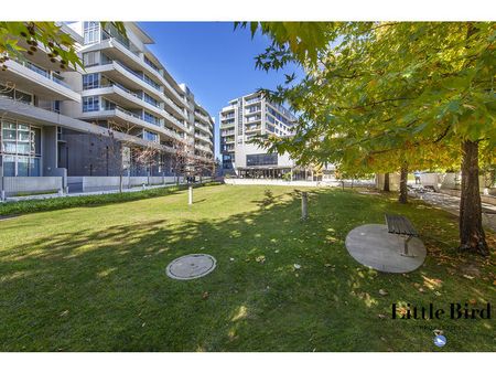 37/3 Burbury Close, Barton ACT 2600 - Apartment For Rent | Domain - Photo 3