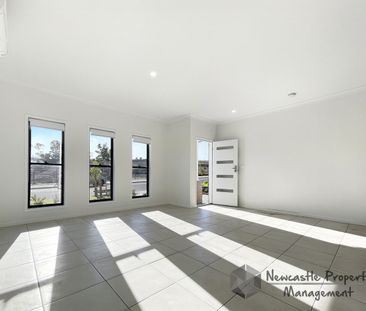 12 Seena Drive, Edgeworth - Photo 1