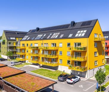 Sagogatan 1A - Foto 6