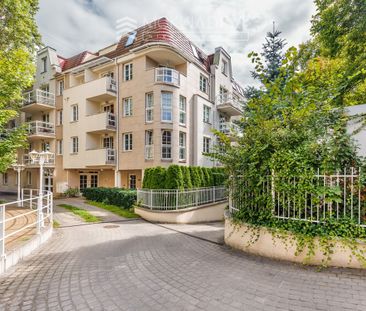 Sopot Dolny, Aleja Niepodległości - Фото 6