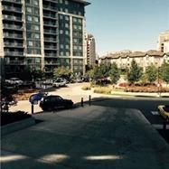 For Lease - 273 South Park Road Unit# 219, Markham, Ontario - Photo 1