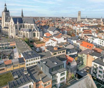 Volledig gerenoveerde studentenkamer in hartje Mechelen - Foto 4