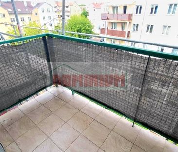 Białystok, Leśna Dolina Mieszkanie na wynajem - Zdjęcie 5