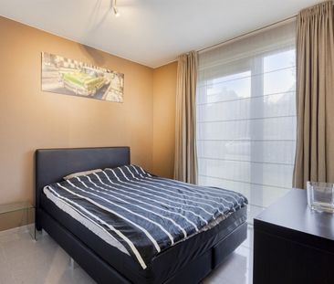 Appartement - Photo 4