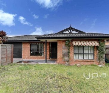 Prime Location - Photo 4