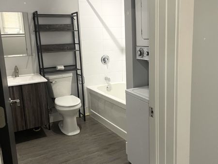 2326 Agricola – TRENDY NORTH END 1 BR 1 BATH APARTMENT JULY 1ST - Photo 4