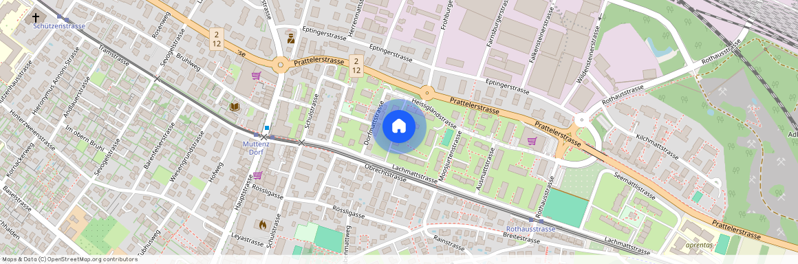Lachmattstrasse 21, 4132 Muttenz