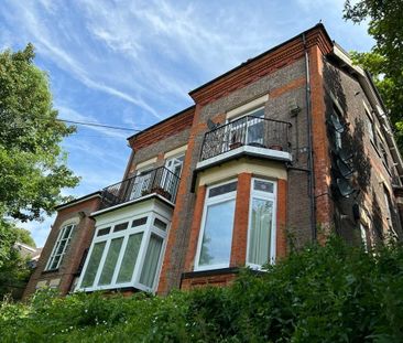 Studio Flat, Hart Hill Drive, LU2 - Photo 3