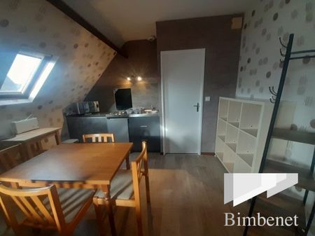 Appartement à louer, 1 pièce - Olivet 45160 - Photo 4