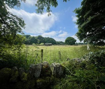 Stone Moor Road, Bolsterstone, Sheffield, S36 3ZN - Photo 4