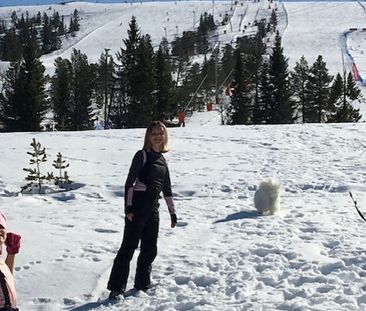 Västra Kalvvägen, Sälen - Foto 4