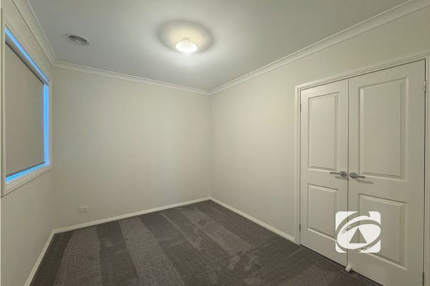 LIVING THE EASY LIFE! - Photo 1