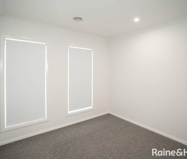 Jump into Jumbuck - Photo 6