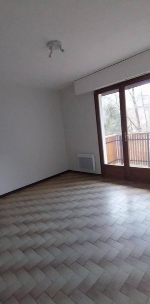 Location appartement 1 pièce à Sallanches (74700) - Photo 1