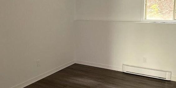 Immeuble - 525-533 Rue Cliff Joli 3 1/2 à Louer - Photo 3