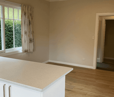 Family Home in the CBD! Walk to town! - Photo 2