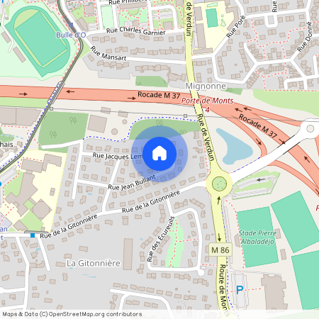 JOUE LES TOURS (37300)