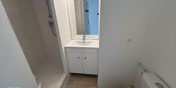 Location Appartement 1 pièce 19m² TOURS 37000 - Photo 3