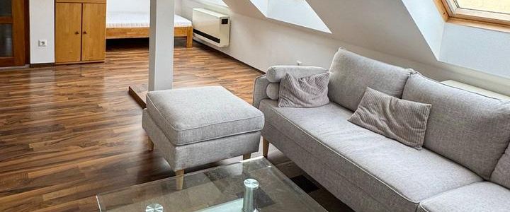 1,5 Zimmer-Appartement möbliert, inklusive Internet, zu vermieten - Foto 1