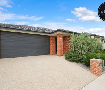 31 O'Meara Street, Wodonga - Photo 5