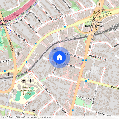 25B George Street, Mount Eden, Auckland City