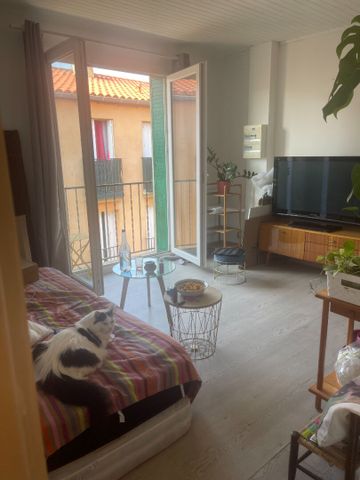 Appartement T2 CANET EN ROUSSILLON à louer - Photo 2