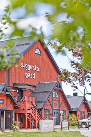 Torsby skogsväg, Värmdö - Foto 5