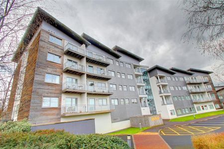 1 bedroom parking to rent - Photo 2