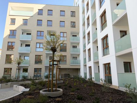 (Symbol 440228) - Zdjęcie 3