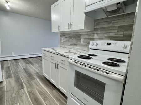 2 Weeks free Modern 2-Bedroom Apartment - SMALL PET FRIENDLY! - Photo 5