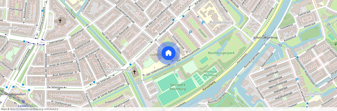 Professorenwijk-Oost, 2313 GH, Leiden