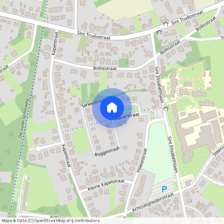 Tarwestraat, Peer, 3990