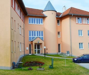 Wohnung in Allentsteig - Foto 2