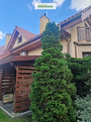 Grodziski (pow.), Grodzisk Mazowiecki (gm.), Książenice - Фото 5