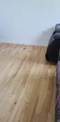 1 room apartment of 44m² in Quebec - Photo 1