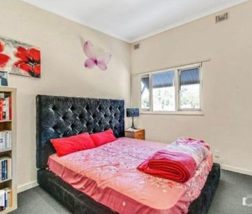 Balga - Photo 4