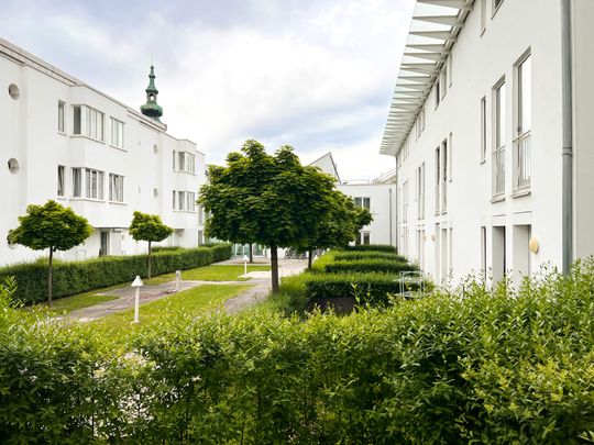 Garten inkl. Terrasse | 1 Zimmer Wohnung | Linz-Urfahr - Photo 1