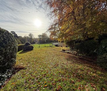 2 bedroom bungalow to rent - Photo 1