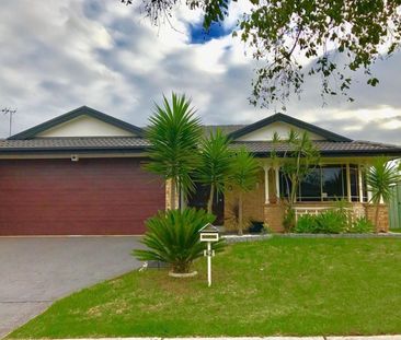 THE SPACE YOU DESIRE - Photo 3