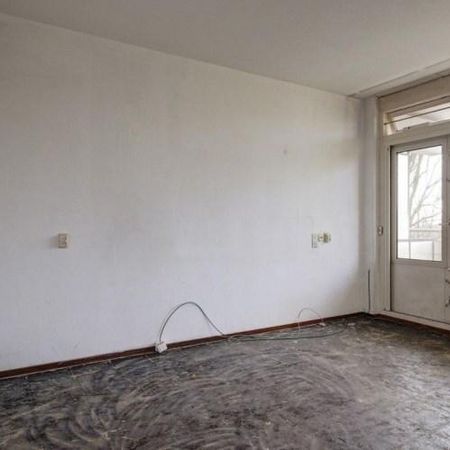 Kringloop, 1186 WB Amstelveen, Nederland - Photo 3