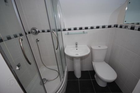 19 Lisburn Avenue, Belfast, BT9 7FX - Photo 5