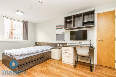 1 bed Studio for Rent - Photo 4