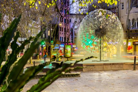 10 Earl Place, Potts Point NSW 2011 - Apartment For Rent | Domain - Photo 3