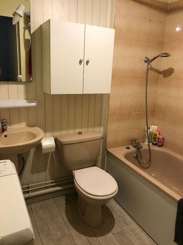 Location Appartement 1 pièce 20m² - Photo 4