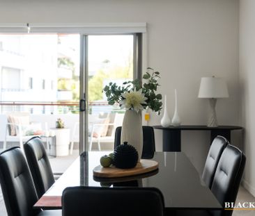 71/17 Darling Street, Barton ACT 2600 - Apartment For Rent | Domain - Photo 6