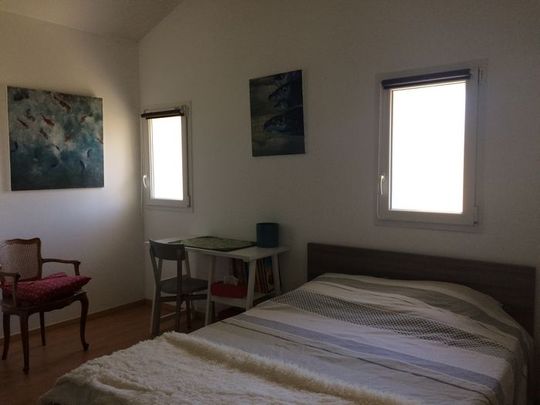 T3/4 récent avec garage Seynod - Photo 1