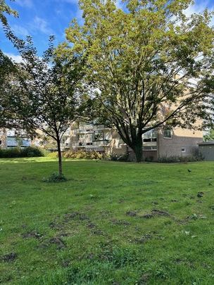 modern 3 kamer appartement in Rotterdam Zomerland - Photo 1