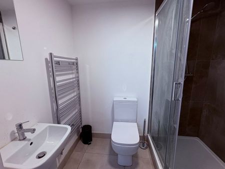 Flat 5, 21 Silver Street - Photo 4