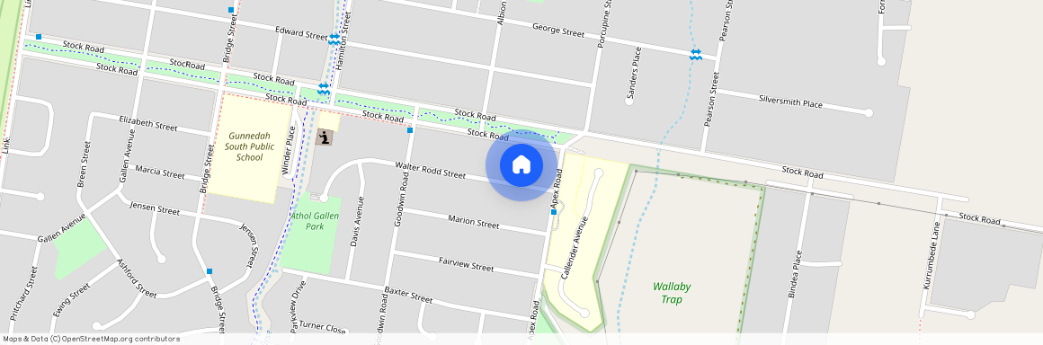 50 Walter Rodd St, NSW 2380, Gunnedah