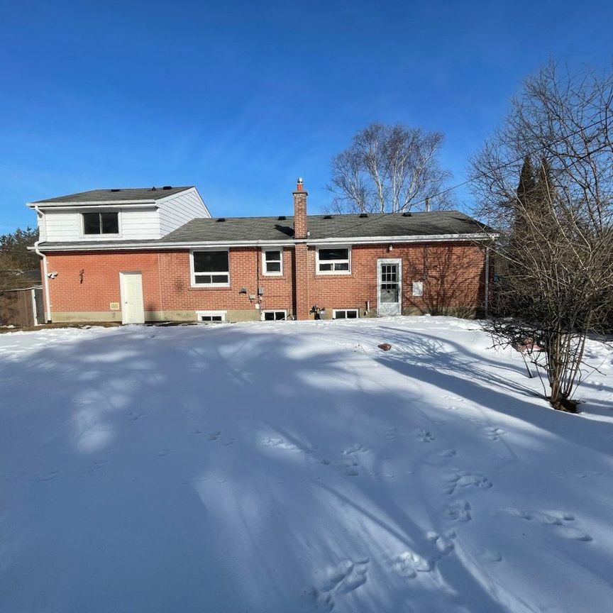 For Lease - 262 Scott Avenue, Newmarket, Ontario - Photo 1